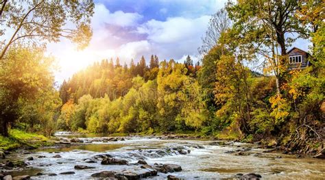 Autumn Amazing Landscape Colorful Trees Over The Mountain River Stock