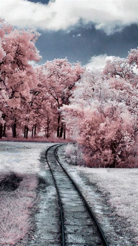 Pink Aesthetic Snow Landscape Wallpapers Wallpaper Cave