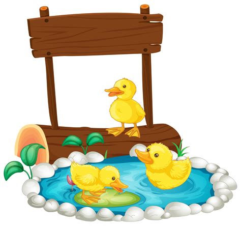 Three Ducklings Swimming In The Pond Vector Art At Vecteezy