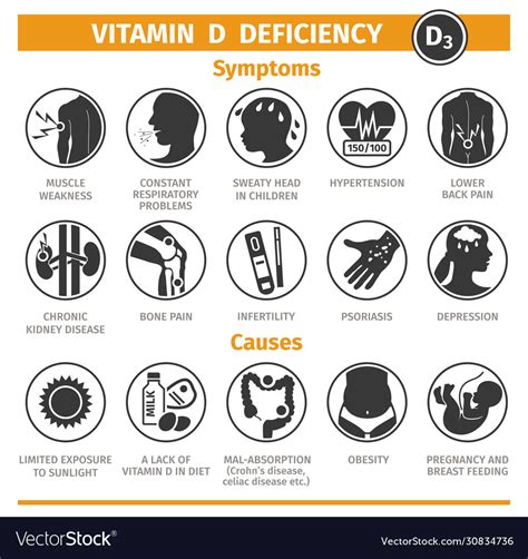Symptoms And Causes Vitamin D Deficiency Vector Image