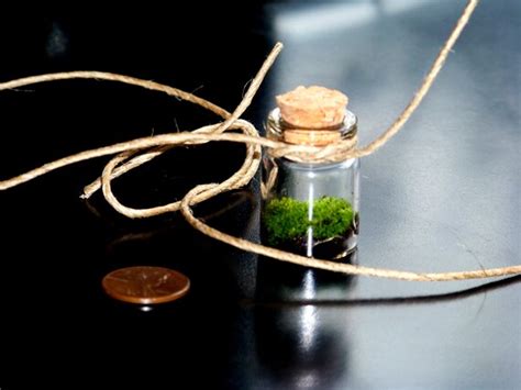 Items Similar To Real Moss Terrarium Necklace Tiny Glass Bottle Nature