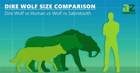 Dire Wolf Size Comparison Az Animals