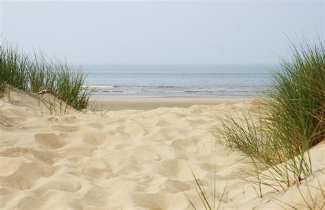 Sand Dunes Beach