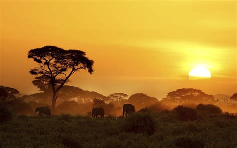 Luxury Holidays Kenya Amazing Safari Holidays And More
