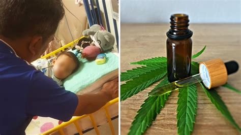 cannabis can mean death in malaysia for one dad it also meant life for his daughter coconuts