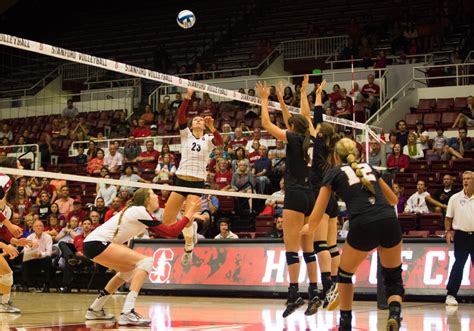 Undefeated Women S Volleyball Set For High Altitude Road Trip The