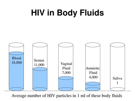 Ppt Hivaids Powerpoint Presentation Free Download Id1208092