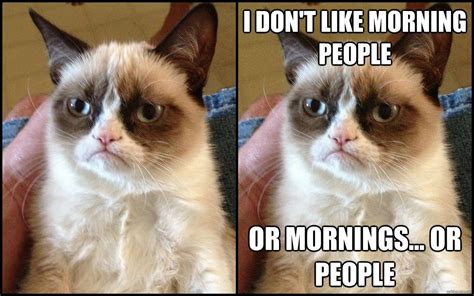 Grumpy Cat Funny Grumpy Cat Memes Grumpy Cat Grumpy Cat Meme Gambaran