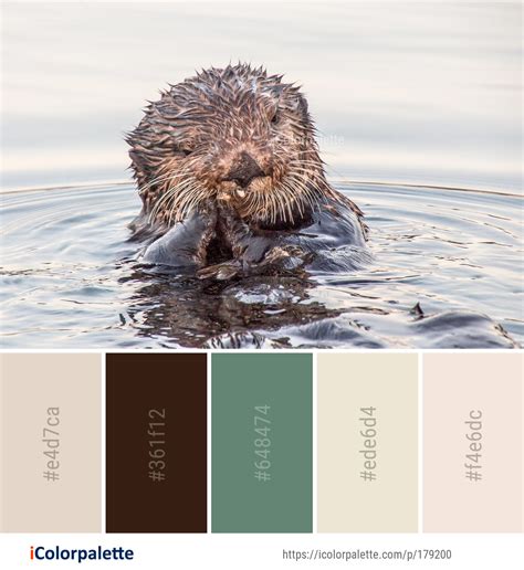 Color Palette Ideas from Otter Mammal Fauna Image | iColorpalette