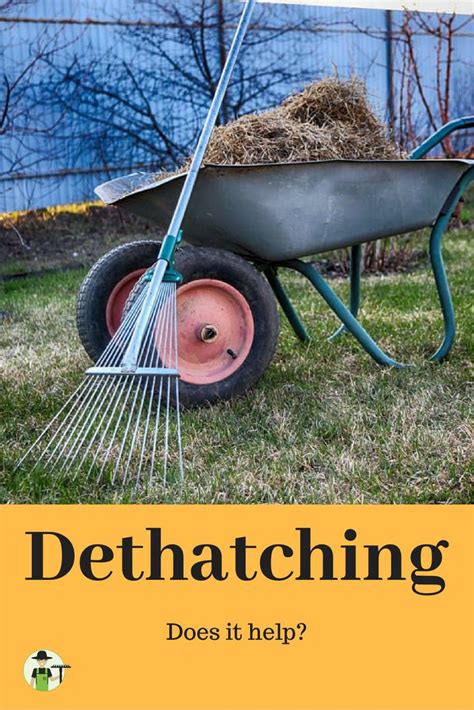 We did not find results for: Does dethatching the lawn actually help? There are certainly instances where dethatching is a ...