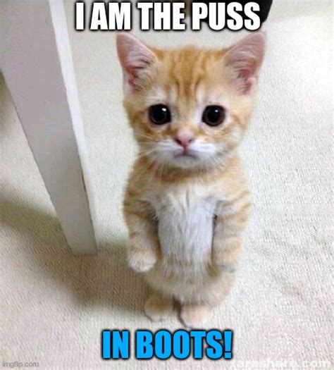 Puss In Boots Imgflip