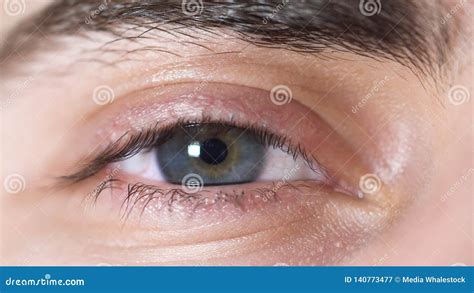 Close Up Of Human Eyes Beautiful Eye Of Young Man With Pupil Shrinking
