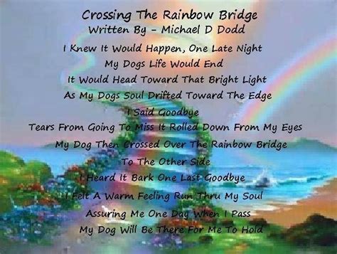 Final Goodbye Rainbow Bridge Quotes Sermuhan
