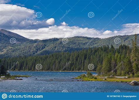 Lake Wenatchee State Par Stock Photo Image Of Black 167362162