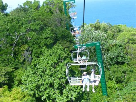 Mystic Mountain Ski Lift Picture Of Rainforest Adventures Jamaica