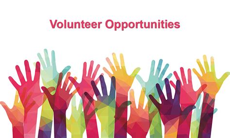12 Volunteer Opportunities For Teens In 2020 Live Blogspot