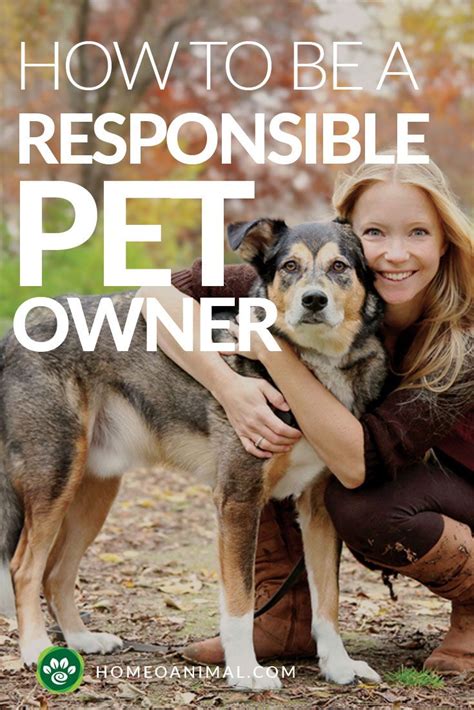 How To Be A Responsible Pet Owner The Ultimate Guide To Pet Adoption