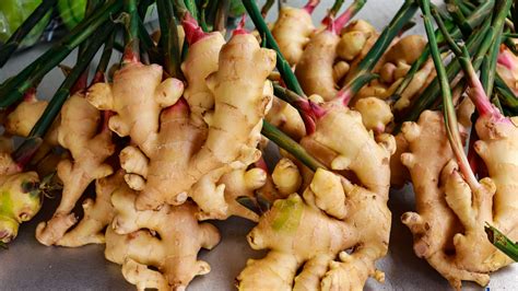 the absolute best ways to keep ginger fresh