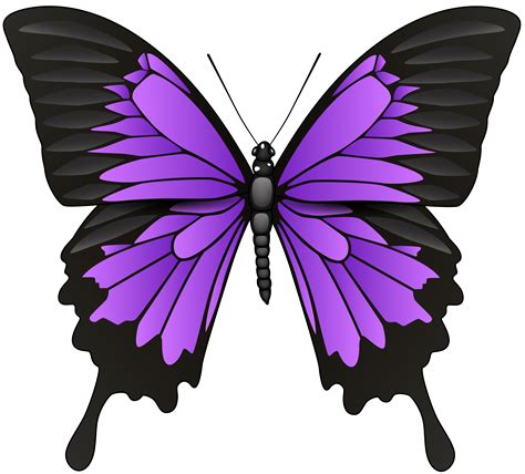 Purple Butterfly Clipart Transparent Png Useful Search For Cliparts Images