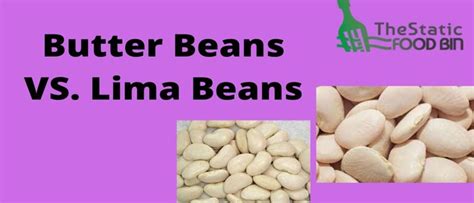 Butter Beans Vs Lima Beans