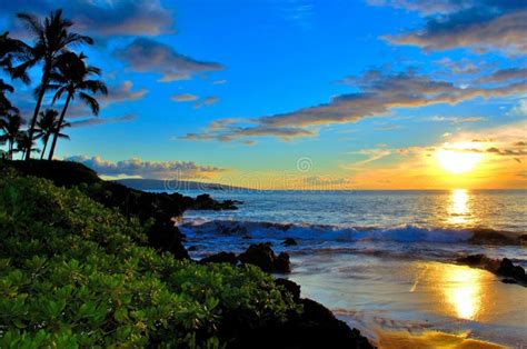 Maui Hawaii Beach Sunset With Palm Trees Stock Photo Image Of