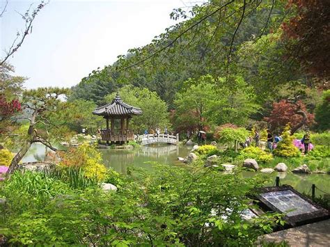 Garden Of Morning Calm Gyeonggi Do Gazebo Korea Calm Outdoor