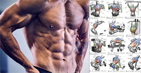 Build Lean Muscle Mass With These 4 Easy Life Hacks GymGuider Com
