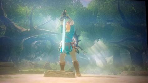 This guide and walkthrough will show you everything you need to know from the locations and solutions for every shrine to captured memories, the best meal in the game, the master trials. Breath of the Wild link and the master sword botw | Legend ...