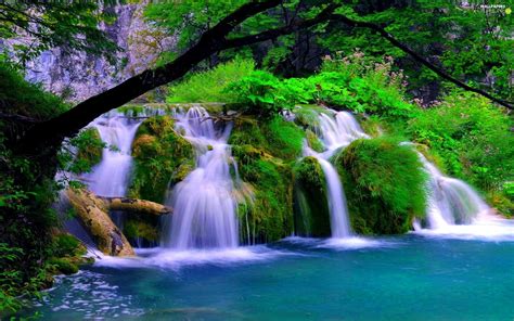 Waterfall Trees Viewes Lake For Phone Wallpapers 1920x1200