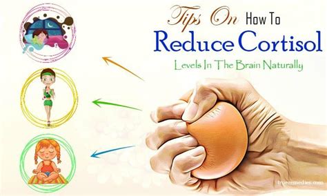 Reduce your exposure to artificial light in the evening. 26 Tips On How To Reduce Cortisol Levels In The Brain ...