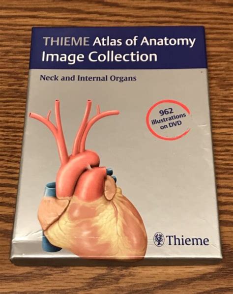Thieme Atlas Of Anatomy Neck Internal Organs 962 Illustrations Dvd Mac