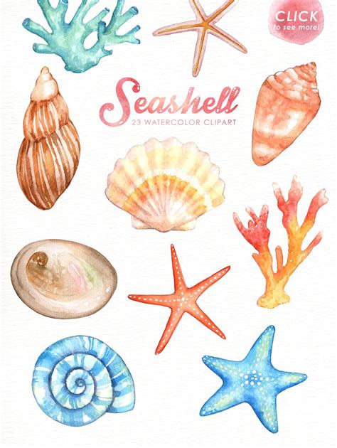 Seashell Watercolor cliparts | Nautical watercolor, Coral watercolor, Watercolor clipart