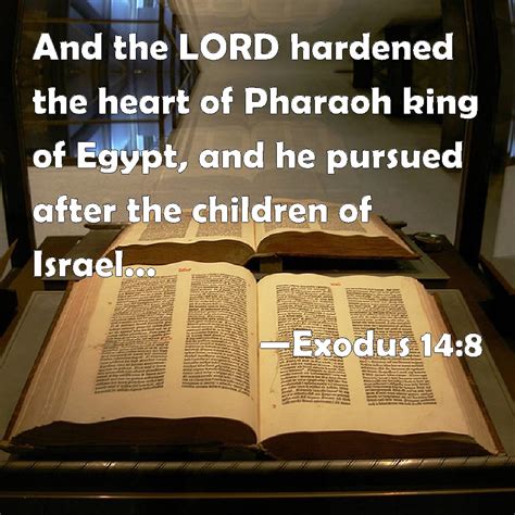 exodus 14 8 and the lord hardened the heart of pharaoh king of egypt and he pursued after the