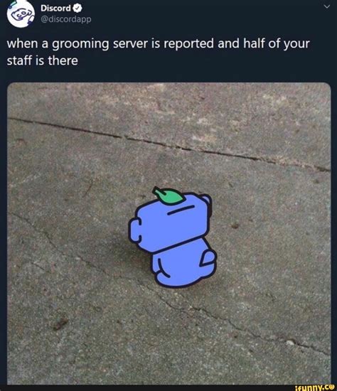 Discord Lo When A Grooming Server Is Reported And Half Of Your Staff Is