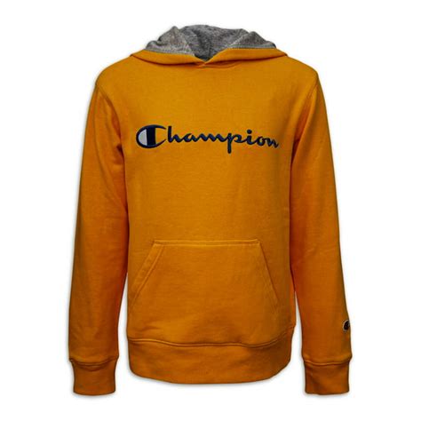 Champion Champion Boys Embroidered Signature Fleece Pullover Hoodie