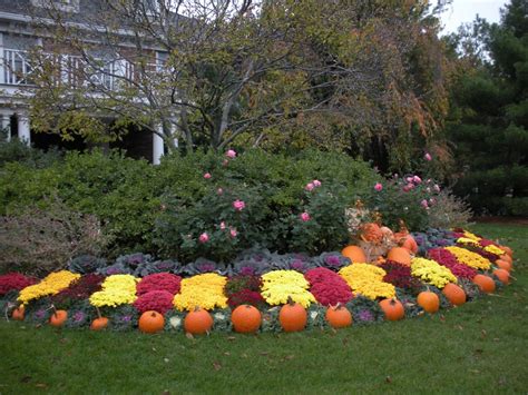Fall Landscaping Ideas For A Stunning Front Yard