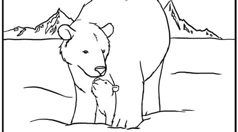 Arctic Coloring Pages