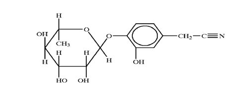 Chemical Structure Of 4 α L Rhamnopyranosyloxy Phenylacetonitrile