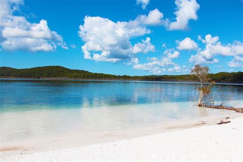 The world's largest sand island is a spectrum of vibrant greens, and. 2-Day Fraser Island Eco Tour From Sunshine Coast ...