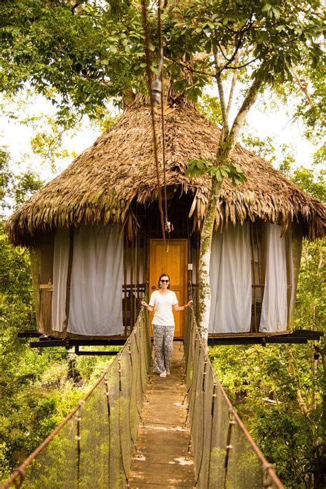 Staying At The Treehouse Lodge In Perus Amazon Rainforest Have