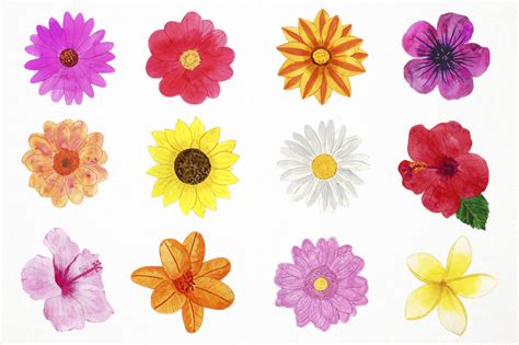 Watercolor Spring Flowers Clipart Spring Flowers Clip Art