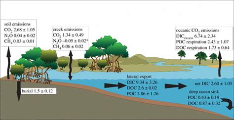 Beyond Burial Lateral Exchange Is A Significant Atmospheric Carbon