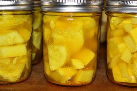 How To Can Summer Squash 3 Steps With Pictures Instructables