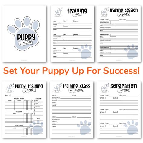 Printable Dog Training Outline Digital Pdf Sheet Template Etsy