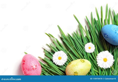 Easter Painting Eggs With Daisy On Fresh Green Grass Stock Photo