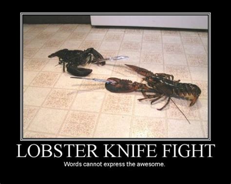 Lobster Knife Fight Funny Pictures Funny Photos Funny Images