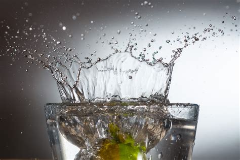 Free Images Branch Liquid Ice Spray Drink Drip Drop Of Water Freezing Macro