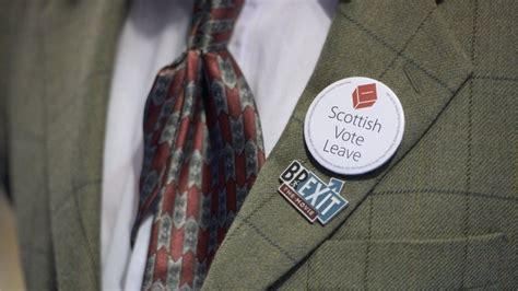 Eu Referendum Scotland Backs Remain As Uk Votes Leave Bbc News