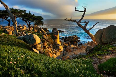17 Mile Drive Sunset Monterey Peninsula Trip Sunset