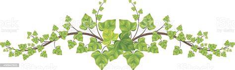 Green Ivy Vine Border Stock Illustration Download Image Now Istock